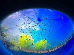 -欢乐海岸海洋奇梦馆