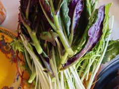 -藏味八珍特色火锅