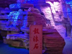 -贝壳梦幻世界