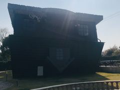 -金山农民画村-枫泾波兰倒置屋