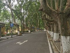 -T80科技文化国际社区-停车场