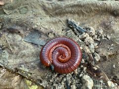 -水濂山森林公园