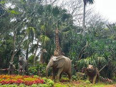 -海南热带野生动植物园