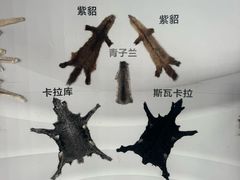 -肃宁华斯国际裘皮城