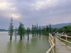 -星湖旅游景区七星岩