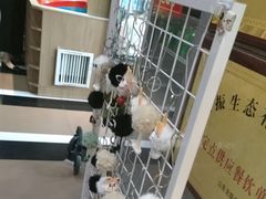 -御上皇三汁焖锅(薛城万达广场店)