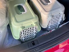 -贝康宠物医院·犬猫全科·小动物特色诊疗中心(东环路店)