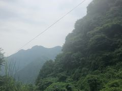-黎坪国家森林公园