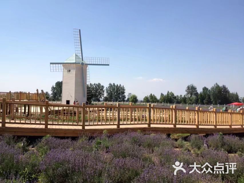 曲江薰衣草庄园