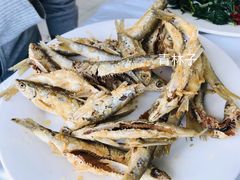 -庆岭迎宾园正宗活鱼馆