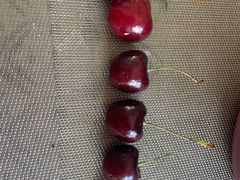 -江杨农产品批发市场