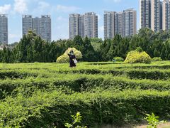 -南沙蒲洲花园