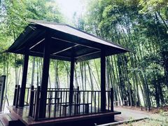 -广州市石门国家森林公园