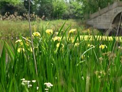 桥下-太阳岛度假酒店