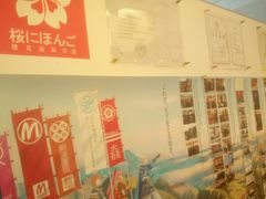 -樱花国际日语(人广中心)