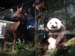 -四川大学博物馆