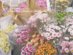 -循礼门鲜花花市(武汉循礼门店)