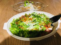 -油梨树AVOCADO TREE(顺义新国展店)