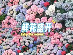 -上海久光百货