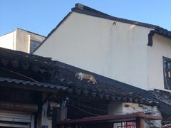 -赵天禄(葑门横街店)