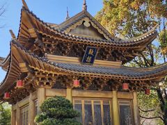 -上海东林寺(金山区)