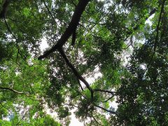 -园里前·10年私厨·福建菜(台江万达鳌峰洲店)