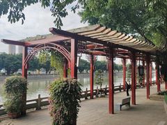 -光明港公园