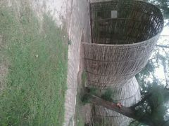 android_upload_pic-北海金海湾红树林生态旅游区