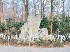 -音乐台
