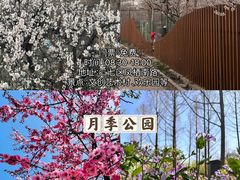 -郑州中国绿化博览园