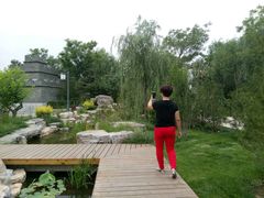 -武清南湖绿博园