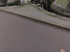 -温江公园