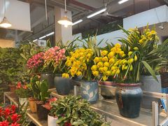 -双季花艺园艺市场(浦东店)