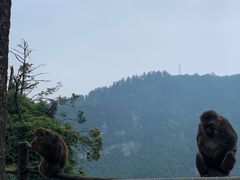 -峨眉山风景名胜区