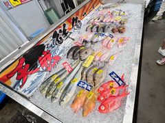 -海鮮寿司とれとれ市場