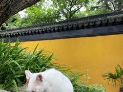 -西园戒幢律寺
