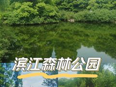 -上海滨江森林公园