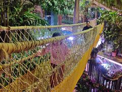 -正佳雨林生态植物园