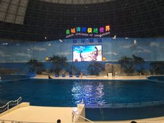 -泉城欧乐堡海洋极地世界