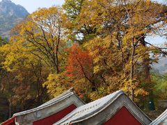 -北京上方山国家森林公园