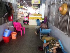 -鸿港海鲜批发市场