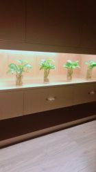 -觅屿日式脱毛美肤