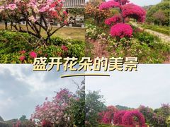-东莞植物园