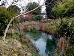 -武汉紫薇都市田园