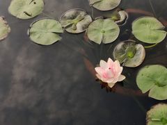 -杭州植物园