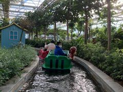 -南宫五洲植物乐园