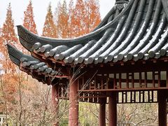 -郑和公园