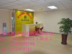 -优缇多格专业宠物美容师培训学校