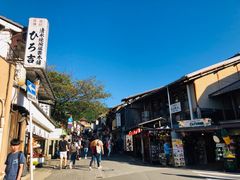 -有栖山 清光院 清水寺