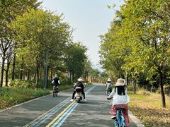 -顺峰山公园